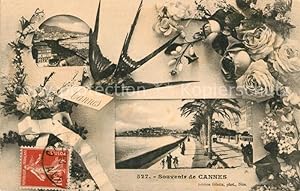 Postkarte Carte Postale 13120422 Cannes Alpes-Maritimes Souvenir de la Ville Plage Promenade des ...