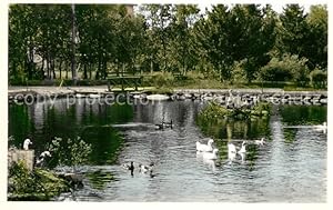 Postkarte Carte Postale 43196368 Malmberget Parti fran Svanparken Schwanenteich Malmberget