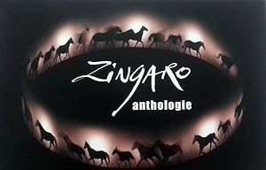 Zingaro anthologie en 13 spectacles