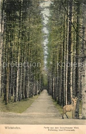 Postkarte Carte Postale 43250927 Woerishofen Bad Dorschhauser Wald Erzherzog Josef Promenade Woer...