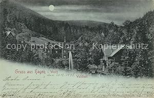 Seller image for Postkarte Carte Postale 43259726 Hagen Westfalen Gaststaette Waldlust im Mondschein Hagen Westfalen for sale by Versandhandel Boeger