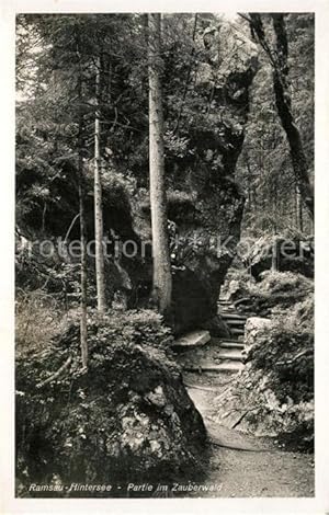 Bild des Verkufers fr Postkarte Carte Postale 43257288 Ramsau Berchtesgaden Hintersee Zauberwald Ramsau Berchtesgaden zum Verkauf von Versandhandel Boeger