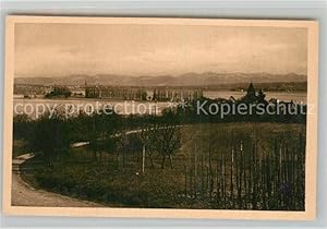 Bild des Verkufers fr Postkarte Carte Postale 43283477 Oberzell Reichenau Blick auf Pappelallee nach Konstanz Schweizer Ufer u zum Verkauf von Versandhandel Boeger