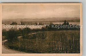 Bild des Verkufers fr Postkarte Carte Postale 43288345 Oberzell Reichenau Panorama Blick auf Pappelallee Kontanz Schweizer Ufe zum Verkauf von Versandhandel Boeger