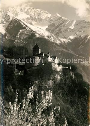 Postkarte Carte Postale 43479825 Vaduz Schloss Vaduz