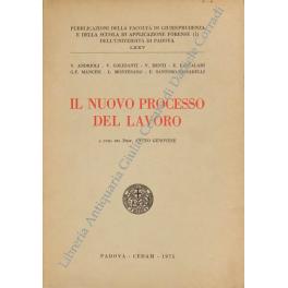 Seller image for Il nuovo processo del lavoro. A cura di Anteo Genovese for sale by Libreria Antiquaria Giulio Cesare di Daniele Corradi