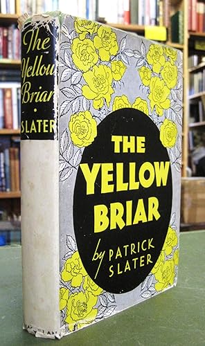 The Yellow Briar - A Story of the Irish on the Canadian Countryside