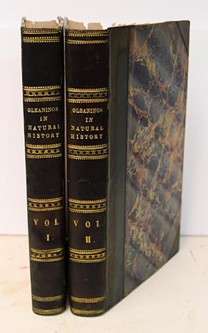 Immagine del venditore per GLEANINGS IN NATURAL HISTORY; WITH LOCAL RECOLLECTIONS. To which are added Maxims and Hints for an Angler. SECOND SERIES. To which are added Some Extracts from the Unpublished MSS. of the Late Mr. White of Selborne. By Edward Jesse, Esq. venduto da Marrins Bookshop