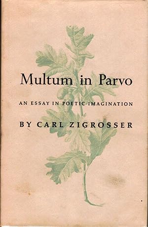Multum In Parvo An Essay in Poetic Imagination