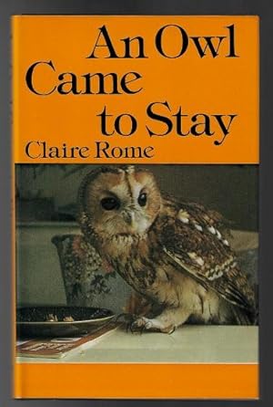 An Owl Came to Stay