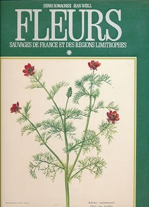 Bild des Verkufers fr Fleurs sauvages de France et des rgions limitrophes zum Verkauf von LIBRAIRIE GIL-ARTGIL SARL