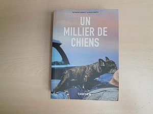 Seller image for Un millier de chiens for sale by Le temps retrouv