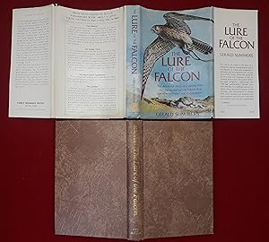 The Lure Of The Falcon