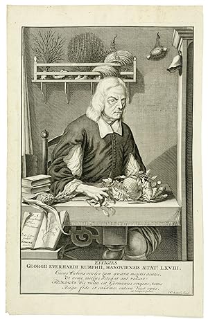 Engraved portrait of Georg Everhard Rumphius. Amsterdam 1741. 387 x 245mm.