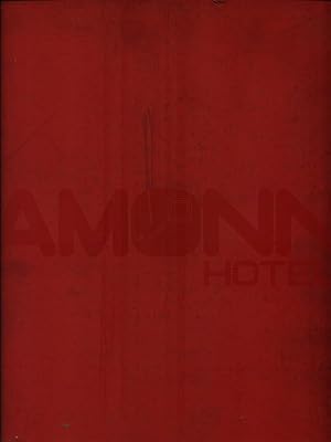 Amonn Hotel. La chiave dell'ospitalita'