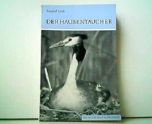 Seller image for Der Haubentaucher - Podiceps cristatus. Die neue Brehm-Bcherei Band 461. for sale by Antiquariat Kirchheim