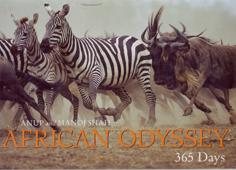 Seller image for African Odyssey for sale by Eaglestones