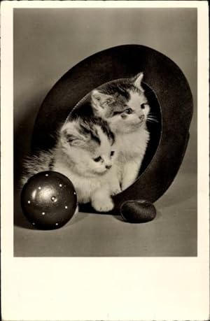 Ansichtskarte / Postkarte Zwei kleine Kätzchen, Wollknäuel
