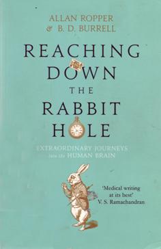 Reaching Down the Rabbit Hole