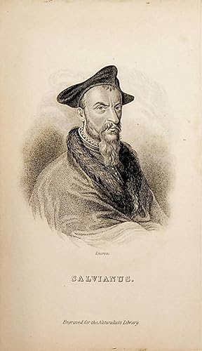 SALVIANI, Ippolito Salviani (1514-1572) medico, letterato e naturalista italiano.