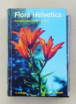 Seller image for Flora Helvetica. Mit 3773 Farbphotos von 3000 wildwachsenden Blten- und Farnpflanzen einschliesslich wichtiger Kulturpflanzen. Artbeschreibungen und Bestimmungsschlssel. for sale by antiquariat peter petrej - Bibliopolium AG