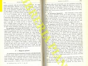 La spedizione per la misurazione del grado nelle Spitzberghe. La spedizione Bauendahl. Le spedizi...