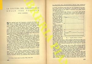 Seller image for La coltura del granoturco nelle Tre Venezie. for sale by Libreria Piani