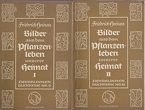 Bilder aus dem Pflanzenleben unserer Heimat / Friedrich Heinen. Mit zahlr. Federzeichngn v. Elise...