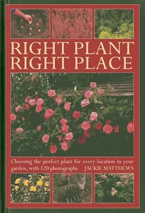 Bild des Verkufers fr Right Plant Right Place : Choosing the Perfect Plant for Every Location in Your Garden, With 120 Photographs zum Verkauf von GreatBookPrices