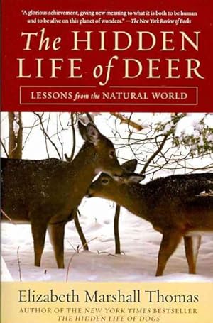 Seller image for Hidden Life of Deer : Lessons from the Natural World for sale by GreatBookPrices