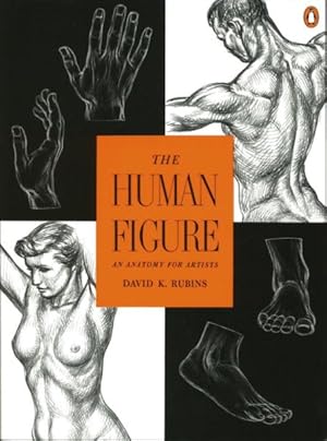 Seller image for Human Figure : An Anatomy for Artists for sale by GreatBookPrices