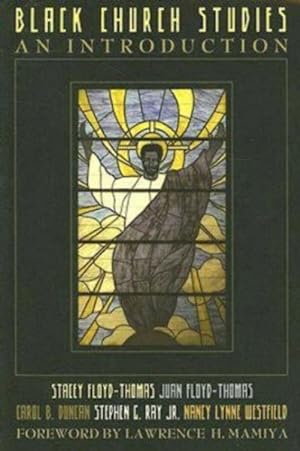 Seller image for Black Church Studies : An Introduction for sale by GreatBookPrices