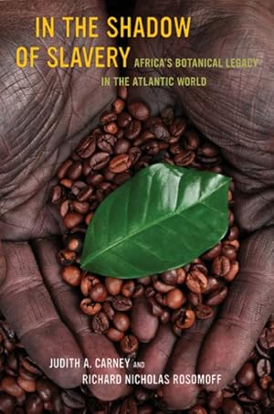 Imagen del vendedor de In the Shadow of Slavery : Africa's Botanical Legacy in the Atlantic World a la venta por GreatBookPrices