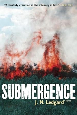 Imagen del vendedor de Submergence a la venta por GreatBookPrices