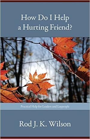 Seller image for How Do I Help a Hurting Friend? for sale by GreatBookPrices