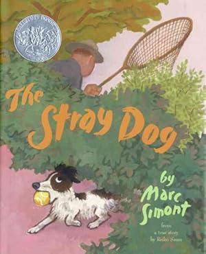 Seller image for Stray Dog : From a True Story by Reiko Sassa for sale by GreatBookPrices