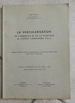 La vascularisation de l'embryon et de la plantule de Coffea canephora Pierre.