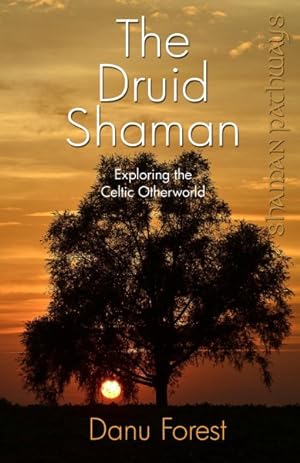 Seller image for Druid Shaman : Exploring the Celtic Otherworld for sale by GreatBookPrices