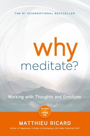 Imagen del vendedor de Why Meditate? a la venta por GreatBookPrices