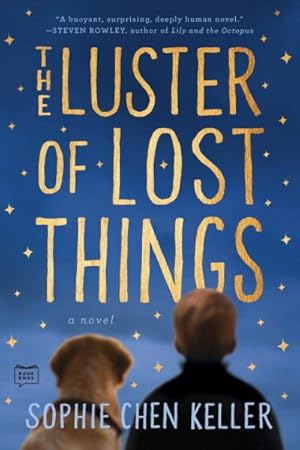 Seller image for Luster of Lost Things for sale by GreatBookPrices