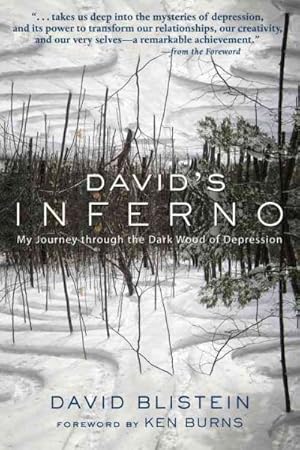 Seller image for David's Inferno : My Journey Through the Dark Wood of Depression for sale by GreatBookPrices