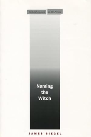Immagine del venditore per Naming The Witch venduto da GreatBookPrices