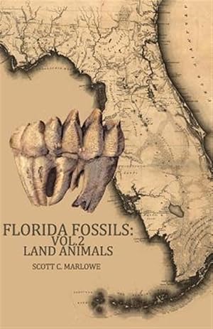 Seller image for Florida Fossils : Land Animals for sale by GreatBookPrices