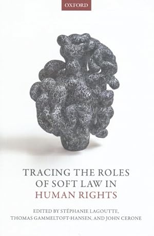 Bild des Verkufers fr Tracing the Roles of Soft Law in Human Rights zum Verkauf von GreatBookPrices