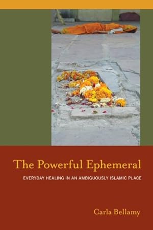 Bild des Verkufers fr Powerful Ephemeral : Everyday Healing in an Ambiguously Islamic Place zum Verkauf von GreatBookPrices