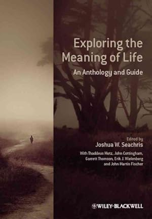 Seller image for Exploring the Meaning of Life : An Anthology and Guide for sale by GreatBookPrices