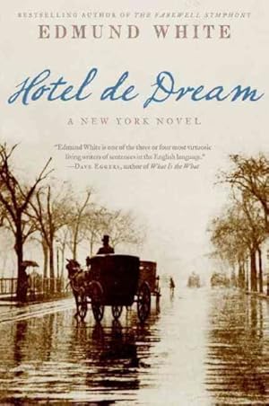 Seller image for Hotel De Dream for sale by GreatBookPrices