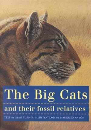 Immagine del venditore per Big Cats and Their Fossil Relatives : An Illustrated Guide to Their Evolution and Natural History venduto da GreatBookPrices