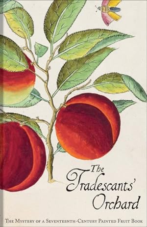 Immagine del venditore per Tradescants' Orchard : The Mystery of a Seventeenth-Century Painted Fruit Book venduto da GreatBookPrices