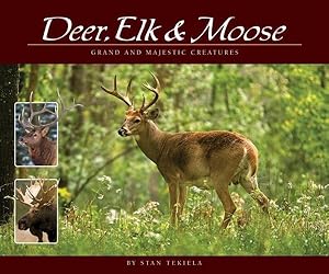 Seller image for Deer, Elk & Moose : Grand and Majestic Creatures for sale by GreatBookPrices
